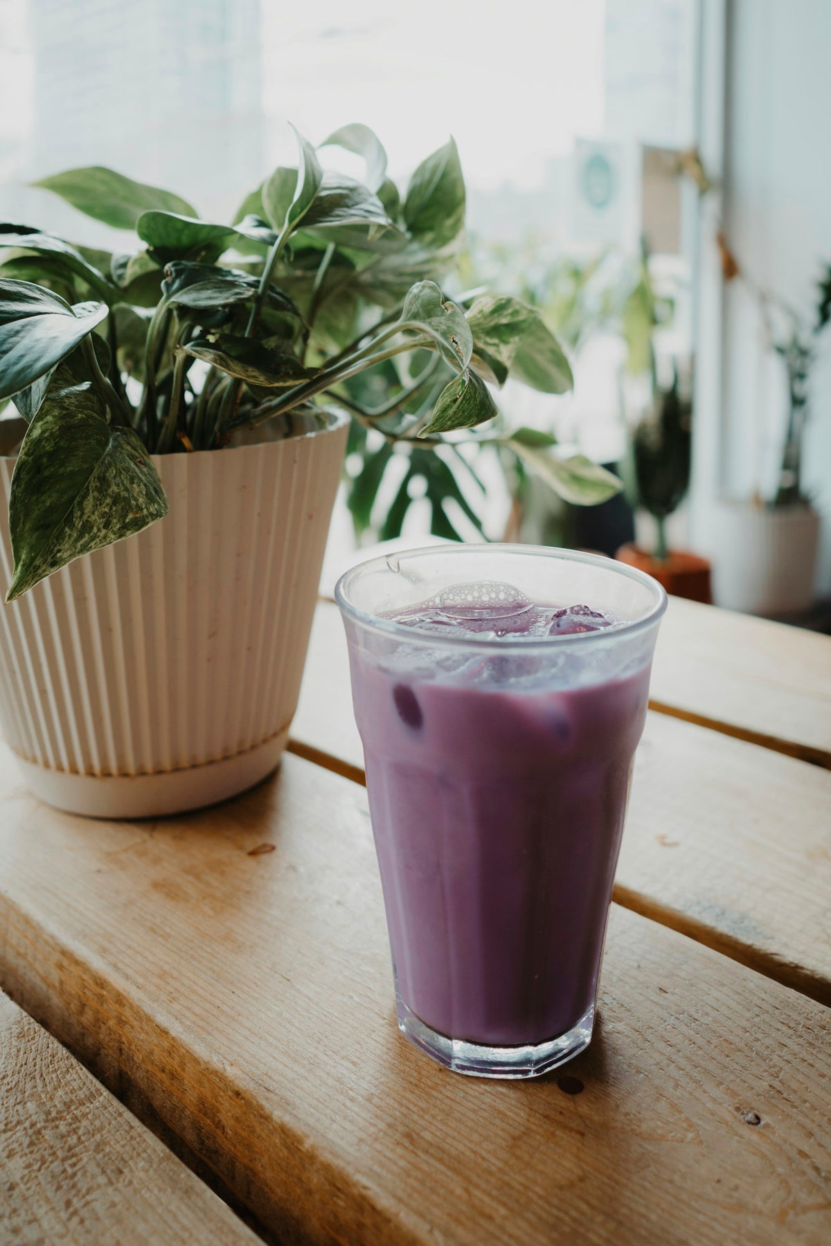 Purple ube iced latte next to a green plant